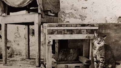 “Η κυρά της Γυάρου