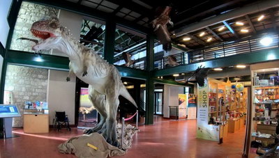 Μουσείο Φυσικής Ιστορίας Κρήτης: Αυτό είναι το Καλοκαιρινά Εβδομαδιαίο προγράμμα για παιδιά