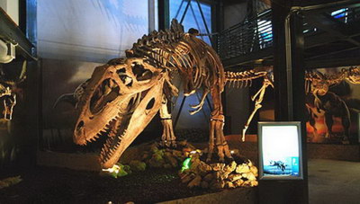 Τα καλοκαιρινά παιδικά προγράμματα του Μουσείου Φυσικής Ιστορίας Κρήτης