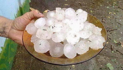 Μην τρώτε κουκοσάλιο, γιατί έχει «το σίντερο του κεραυνού»