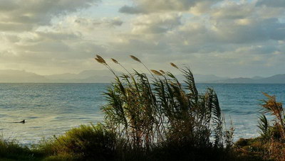 Θυελλώδεις άνεμοι στην Κρήτη: 108 km/h φτάνουν οι ρίπες ανέμου στο Ρέθυμνο