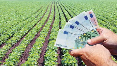 Ηράκλειο: Πληρώνονται το 50% των χρημάτων τους οι αμπελουργοί - Η ανακοίνωση της ΕΑΣΗ