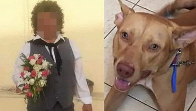 Κρήτη: O βασανισμός του σκύλου φέρνει ακόμη αυστηρότερες ποινές στους δράστες!