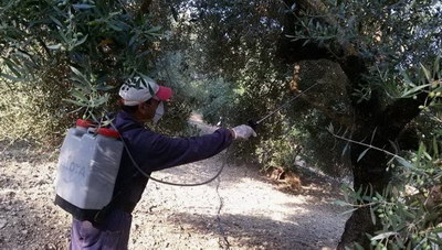 Περιφερειακή Ενότητα Χανίων: Ξεκινάει ο έκτος δολωματικός ψεκασμός
