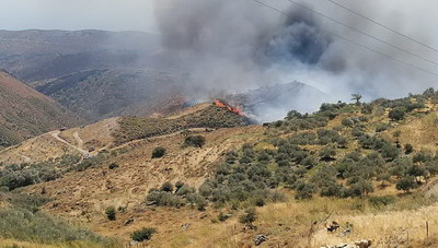 Εθελοντική δράση καθαρισμού και ευαισθητοποίησης για πληγείσες περιοχές από φωτιά