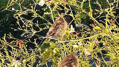 Με τον Μπρούνο Σουλτς