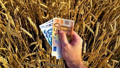 Μοίρασε 7 εκ. ευρώ ο ΕΛΓΑ - Πόσα πήραν οι αγρότες σε Ηράκλειο, Ρέθυμνο, Χανιά και Λασίθι