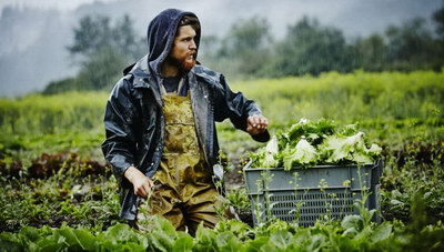 Κρήτη: Ως και 70.000 ευρώ σε κάθε αγρότη - Συζήτηση για να ανοίξει η «ψαλίδα» των αποζημιώσεων