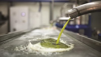 Η «πληγή» του λαδιού και ο κίνδυνος του... ανθού της ελιάς