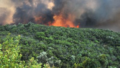 Δήμος Πλατανιά: Ενημέρωση για τα μέτρα πρόληψης των πυρκαγιών 