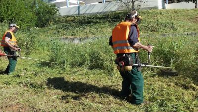 Δήμος Σητείας: Κάλεσμα για τον καθαρισμό ιδιωτικών χώρων