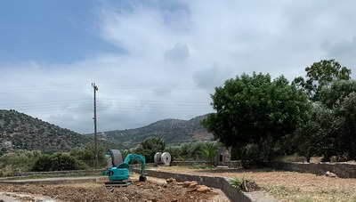 Άγιος Νικόλαος: Δεντροφυτεύσεις και, εργασίες καλλωπισμού