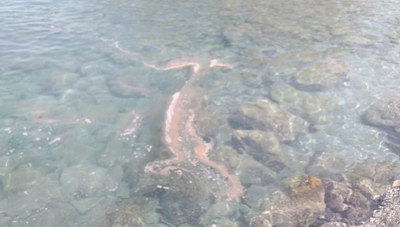 Ηράκλειο: Αναστάτωση σε παραλία - Κινητοποίηση για ύποπτες κηλίδες στη θάλασσα