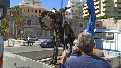 Ηράκλειο: Εβγαλαν από το βυθό του λιμανιού μέχρι και... μηχανάκι (φωτογραφίες)