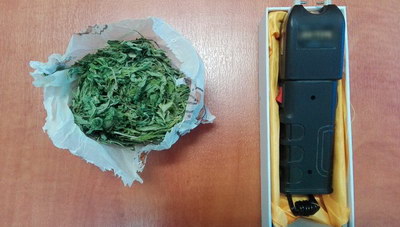 Οι χασισοκαλλιεργητές συνελήφθησαν την ώρα που πότιζαν τα δενδρύλλια