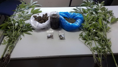 Κρήτη: Είχε αναμείξει χασίς με... ελαιόλαδο!