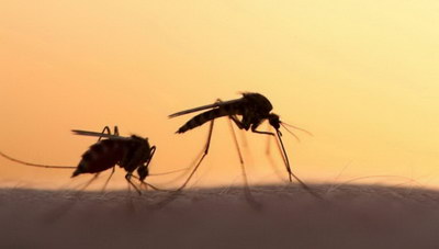 Με χρήση drones η καταπολέμηση των κουνουπιών...