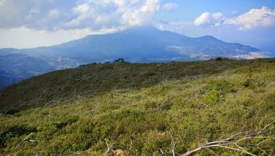 Αποχαρακτηρίζονται από δάση οι εκτάσεις με φρύγανα και ασπάλαθους