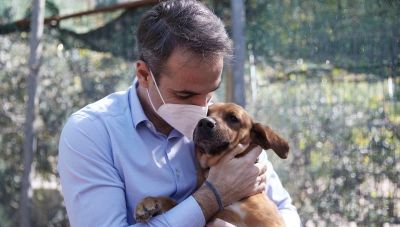 Κυριάκος Μητσοτάκης: Ανοίξτε την αγκαλιά σας και σώστε ένα αδέσποτο