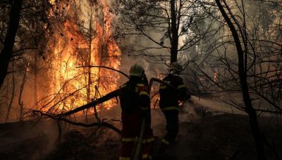 Νέος συναγερμός στην Εύβοια -Εκκενώνεται το χωριό Ασμήνιο