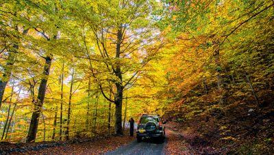 Επιτροπή της Ακαδημίας Αθηνών θα εξετάσει την ανθεκτικότητα των δασών μας
