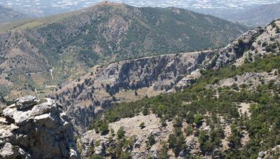Δασικοί Χάρτες Κρήτης: Μειώθηκαν τα τέλη για την υποβολή αντιρρήσεων- Οι προθεσμίες