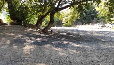 Συνεχίζονται οι εργασίες αποκατάστασης καταστροφών στην Τ.Κ. Μεσκλών