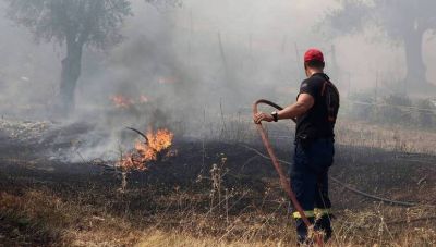 Πυροσβεστική: 50 Πυρκαγιές σε 24 ώρες- Η εξέλιξη των μετώπων σε Λαυρεωτική και Βίλια