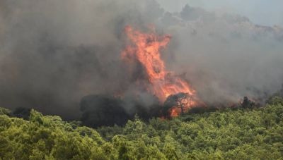 Φωτιά στα Βίλια: Οι άνεμοι έχουν σπρώξει το μέτωπο στα νότια