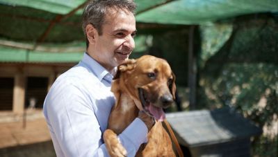 Οι συμβουλές του Πρωθυπουργού για την προστασία των ζώων από τον καύσωνα