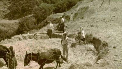 Κάποτε στ' αλωνίσματα