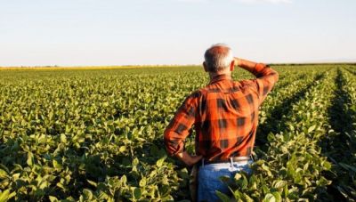 Παράταση για τα Προγράμματα Ομάδων Παραγωγών