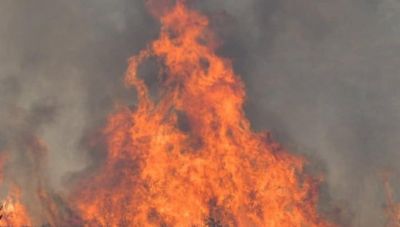 Πυρκαγιά ξέσπασε στο Κρόκι της Άμφισσας