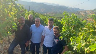 Αυτοψία του Μανώλη Κεφαλογιάννη στις αμπελοκαλλιέργειες