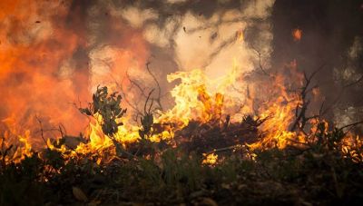 Κρήτη: Πολύ υψηλός ο κίνδυνος πυρκαγιάς αύριο Πέμπτη 5 Αυγούστου