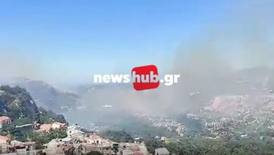 Ευχαριστήριο Δήμου Γόρτυνας για την κατάσβεση της πυρκαγιάς στον Άγιο Θωμά