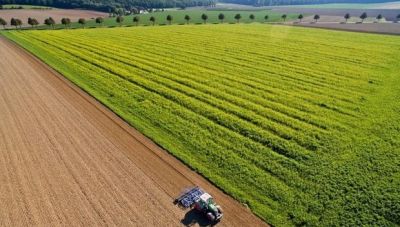 Πώς συμβάλλει η νέα ΚΑΠ στην ανάπτυξη των αγροτικών περιοχών της ΕΕ