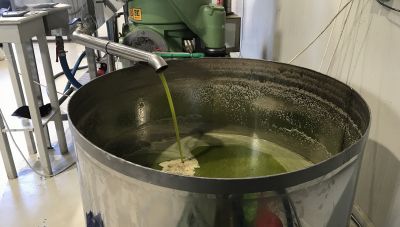 Χάραξη εθνικής στρατηγικής για το ελληνικό ελαιόλαδο