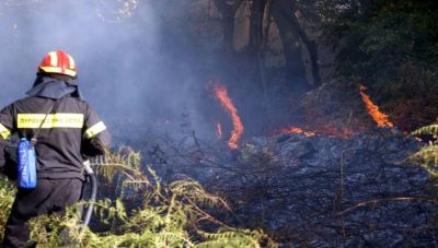 Ηράκλειο: Φωτιά ξέσπασε σε δάσος- Τέσσερα οχήματα Πυροσβεστικής στο σημείο