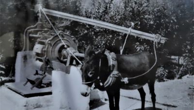 Πως έβγαινε το λάδι στα παλιά χρόνια, μέσα στις φάμπρικες!