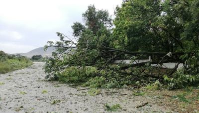 Χανιά: Aναγγελία ζημιάς για τις Δ.Ε. Θερίσου & Ελ. Βενιζέλου