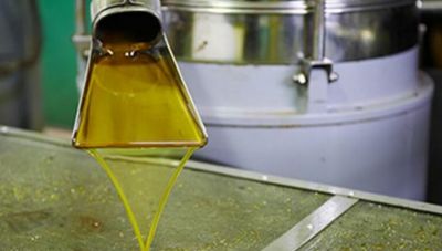 Διαγωνισμοί ποιότητας και διάθεσης ελαιόλαδου στην Κρήτη