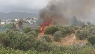 Οριοθετήθηκε η φωτιά στην Παλλήνη Αττικής