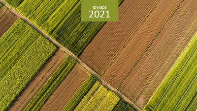 Μηνιαίο ενημερωτικό δελτίο τιμών αγροτικών προϊόντων από την Τράπεζα Πειραιώς                       