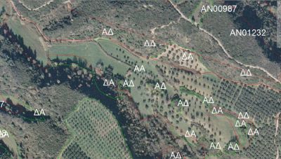 Δασικοί χάρτες: Ευνοϊκές ρυθμίσεις με τροπολογία-Ποια προβλήματα επιλύονται