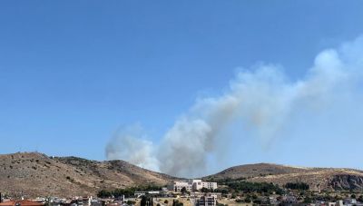 Φωτιά στη Χαλκίδα κοντά σε κατοικημένη περιοχή
