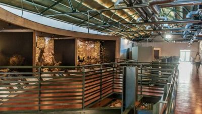 Το Μουσείο Φυσικής Ιστορίας Κρήτης ανοίγει τις πόρτες του για το κοινό