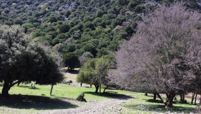 Το καλοκαιρινό πρόγραμμα εξορμήσεων του Ορειβατικού Συλλόγου Ηρακλείου
