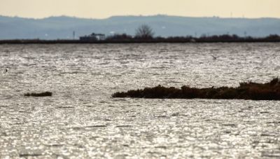 Θεσσαλονίκη: Τι έδειξαν τα αποτελέσματα των αναλύσεων για την εικόνα της θάλασσας
