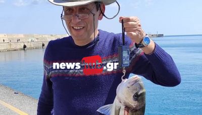 Ηράκλειο: Έπιασε σπάνιο θηρευτή μέσα στο ενετικό λιμάνι (φωτογραφίες)